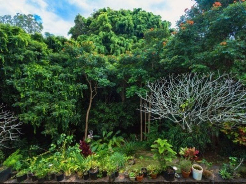 3942 Waha Rd, Kalaheo, HI 96741 ListReports