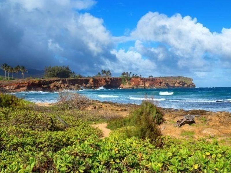 3942 Waha Rd, Kalaheo, HI 96741 ListReports