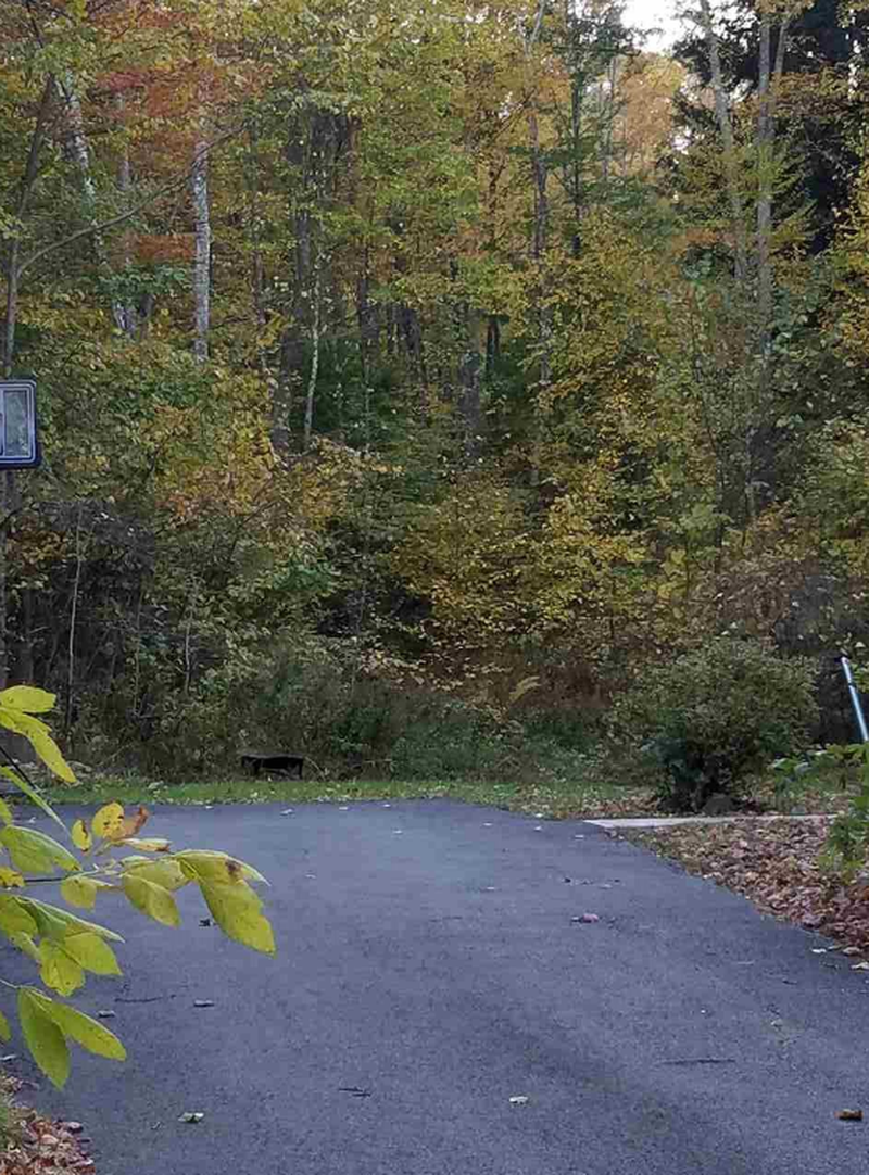 Lots 89 & 92A Wallace Rd, Goffstown, NH 03045 ListReports