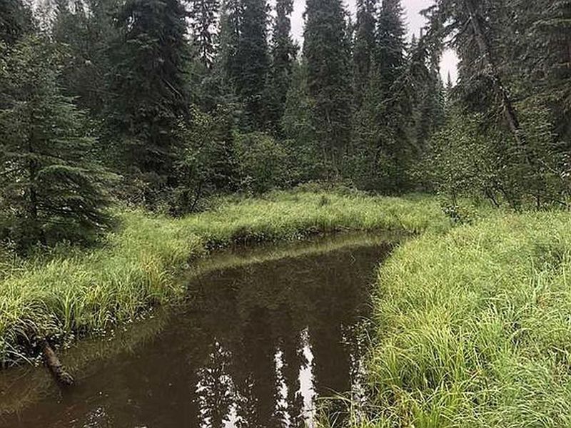 Nhn Salcha River Tract A, Salcha, AK 99714 ListReports