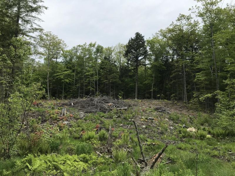 78 Lakeside Drive, Windham, ME 04062 ListReports