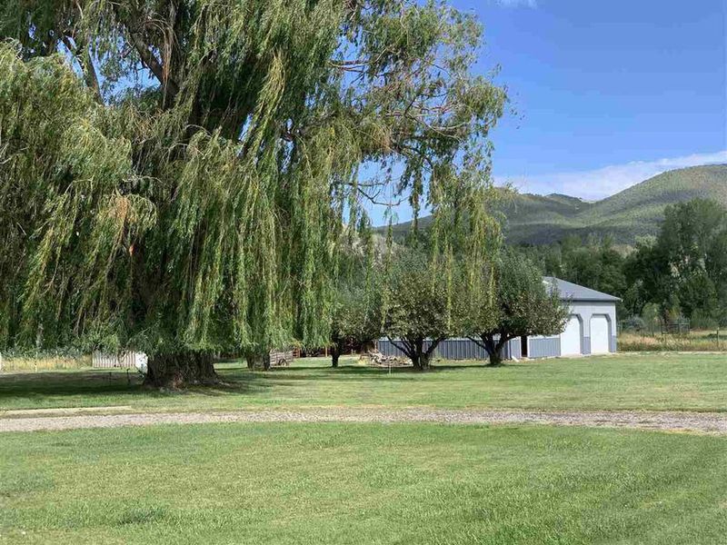 14025 Burgess Ln, Paonia, CO 81428 ListReports